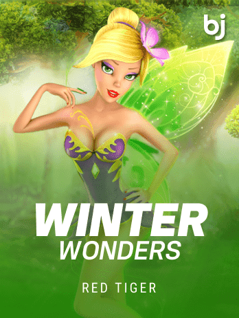 Winter Wonders screenshot